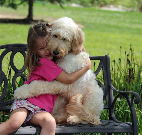 Girl and dog hugging